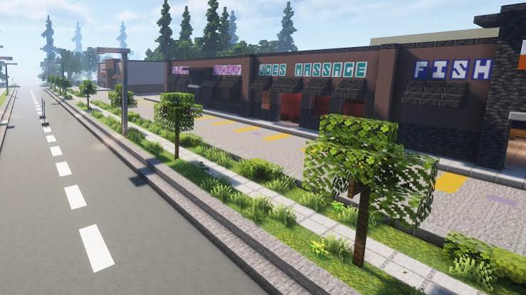 How to Build City in Minecraft Starting With the Streets